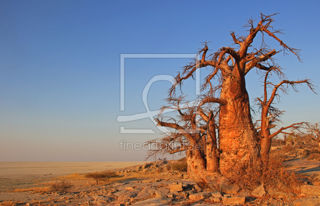 Bild-Nr.: 10563183 Kubu Island Botswana erstellt von Manuel Schulz